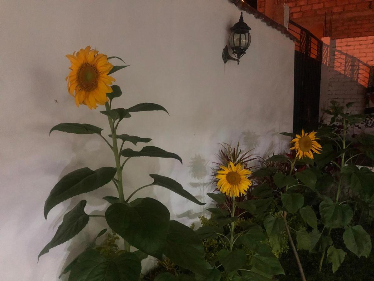 Hostel Las Palmas Вількабамба Екстер'єр фото