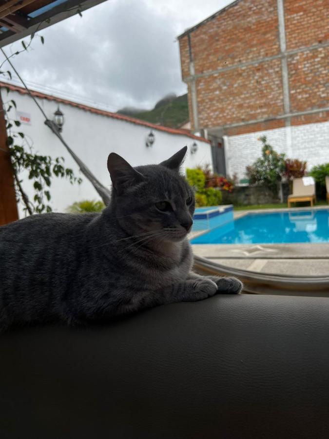 Hostel Las Palmas Вількабамба Екстер'єр фото